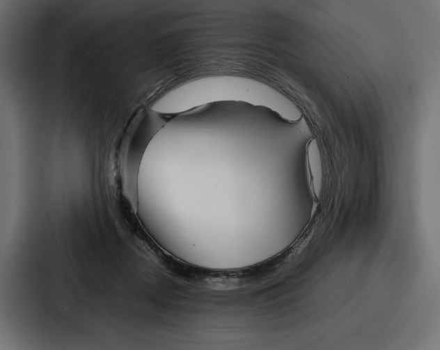 X0000086740362200705111639