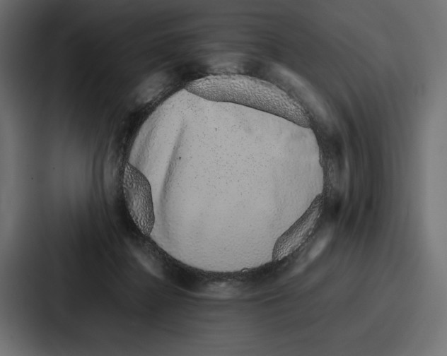 X0000086740364200705111639