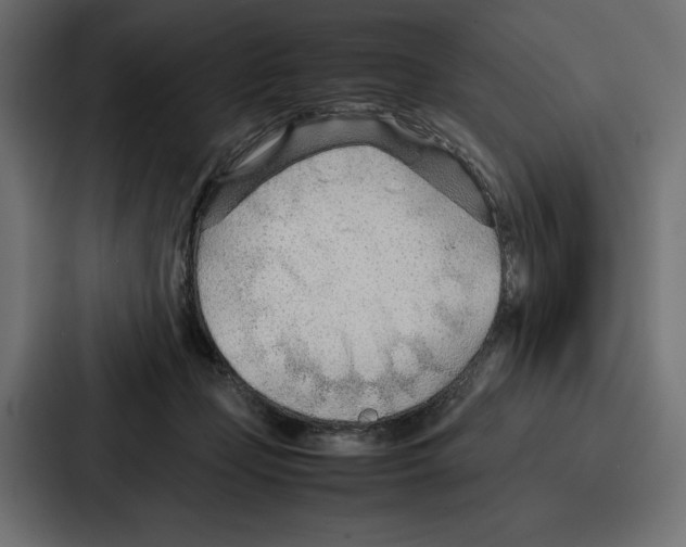 X0000086740365200705111639