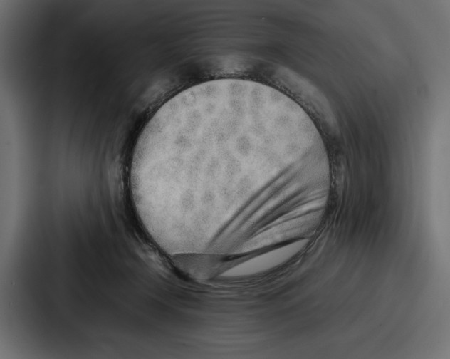 X0000086740366200705111639