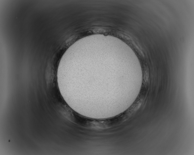 X0000086740367200705111639