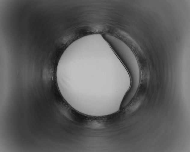 X0000086740368200705111639