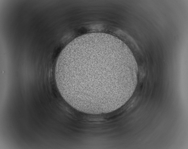X0000086740369200705111639