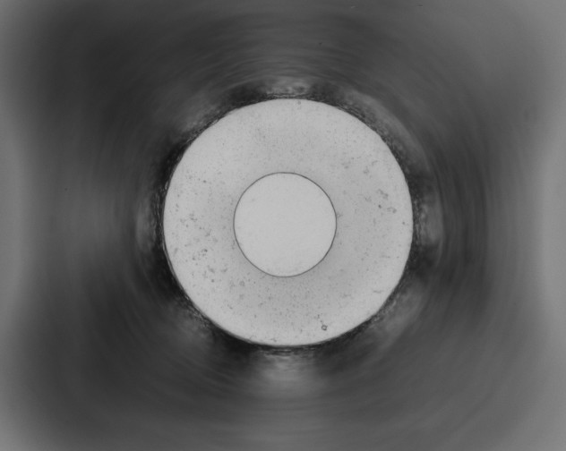 X0000086740370200705111639