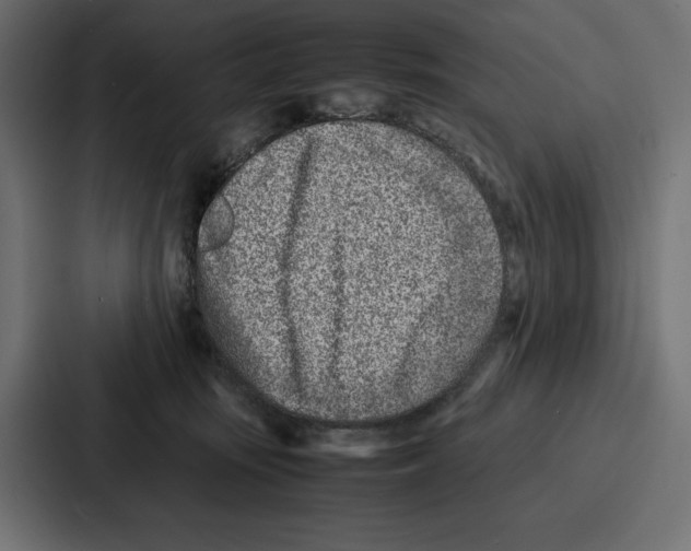 X0000086740371200705111639