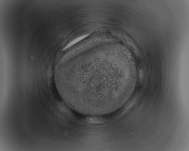 X0000086740372200705111639