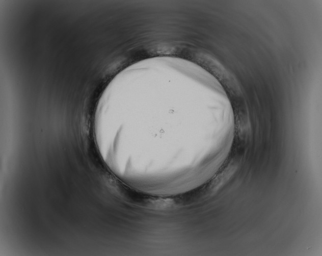 X0000086740374200705111640