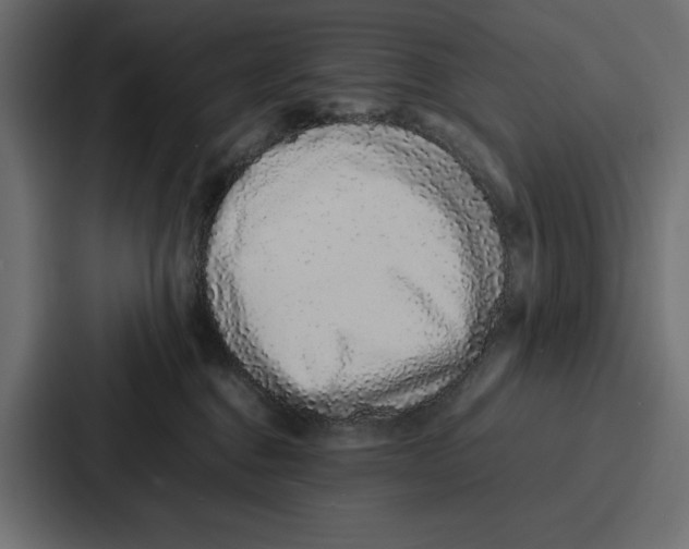 X0000086740376200705111640