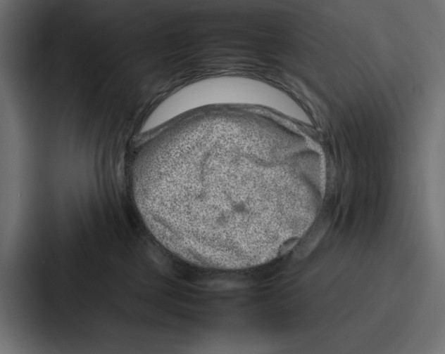 X0000086740377200705111640