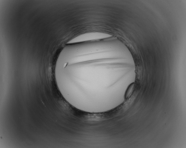 X0000086740378200705111640