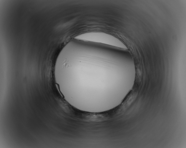 X0000086740379200705111640