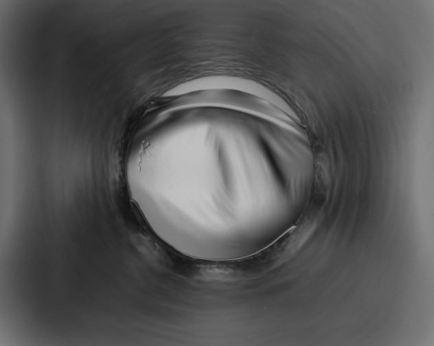 X0000086740380200705111640
