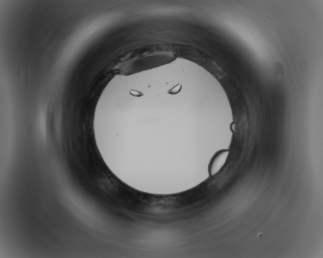 X0000086740382200705111640