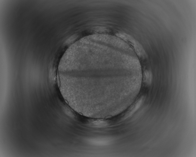 X0000086740383200705111640