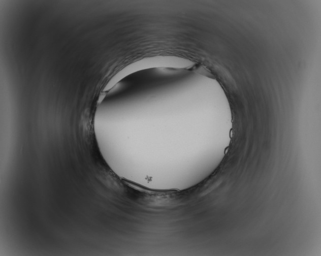 X0000086740384200705111640