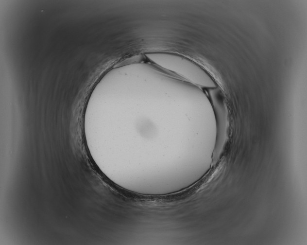 X0000086740385200705111639