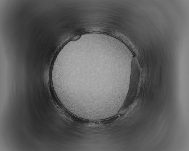 X0000086740386200705111639