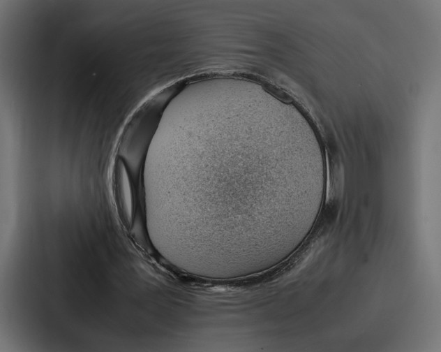 X0000086740387200705111639