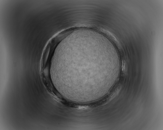 X0000086740388200705111639