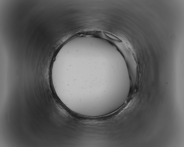 X0000086740389200705111639