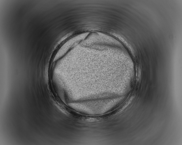 X0000086740390200705111639