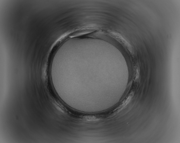 X0000086740392200705111639