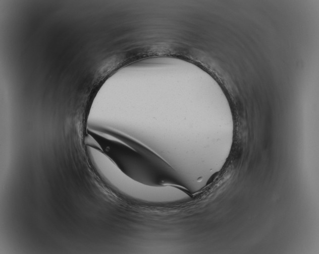 X0000086740393200705111639