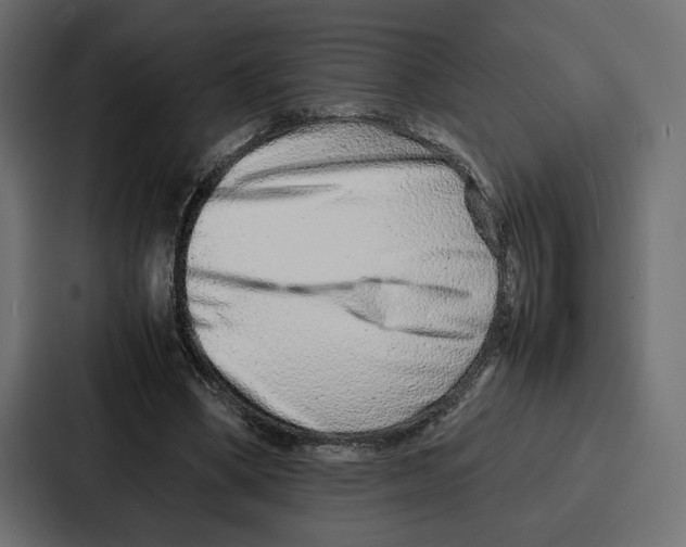 X0000086740394200705111639