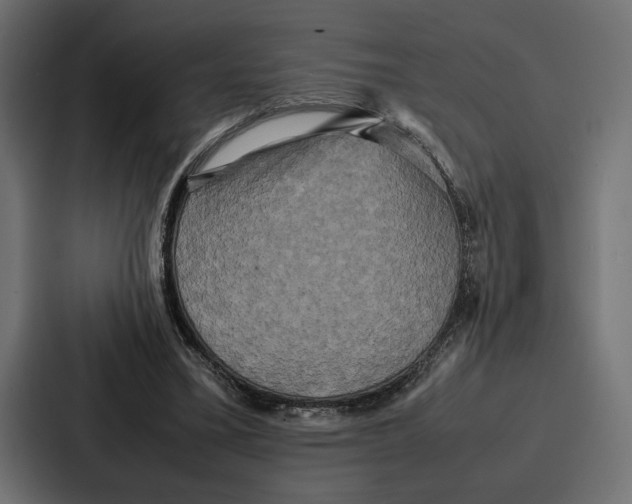 X0000086740395200705111639