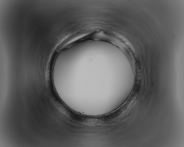 X0000086740399200705111639