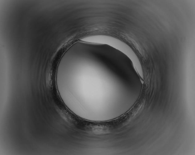 X0000086740400200705111639