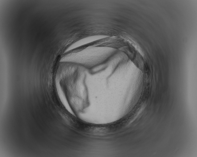 X0000086740401200705111639