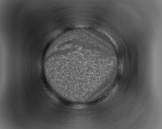 X0000086740402200705111639