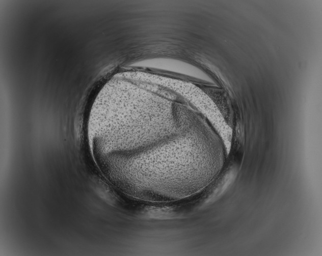 X0000086740403200705111639