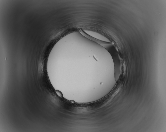 X0000086740404200705111639