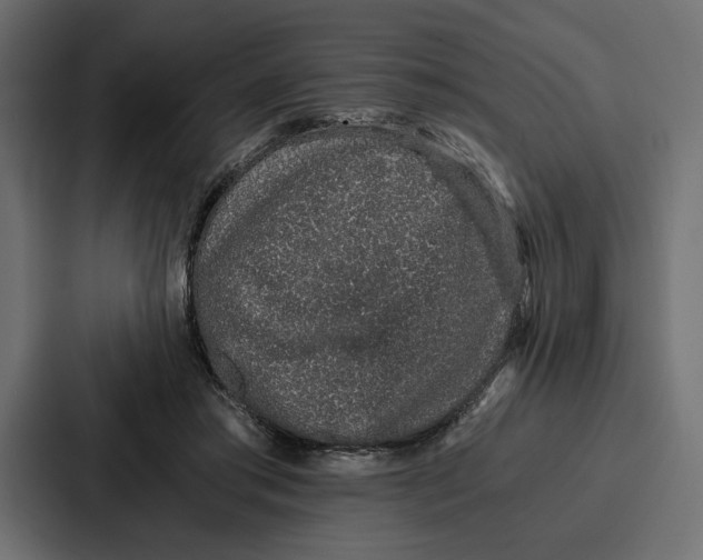 X0000086740405200705111639