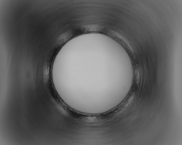 X0000086740406200705111639