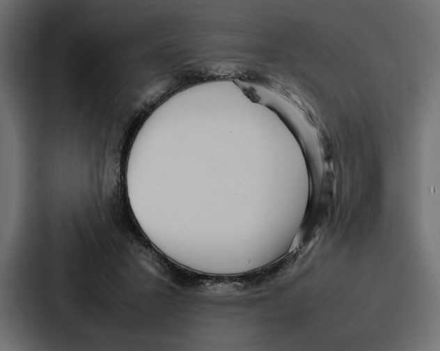 X0000086740407200705111639