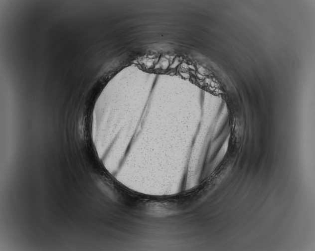 X0000086740408200705111639
