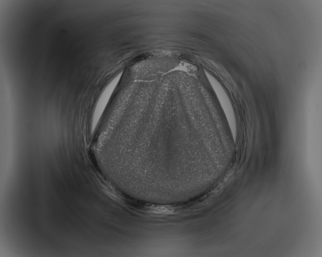 X0000086740409200705111639
