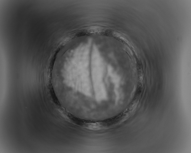 X0000086740411200705111639