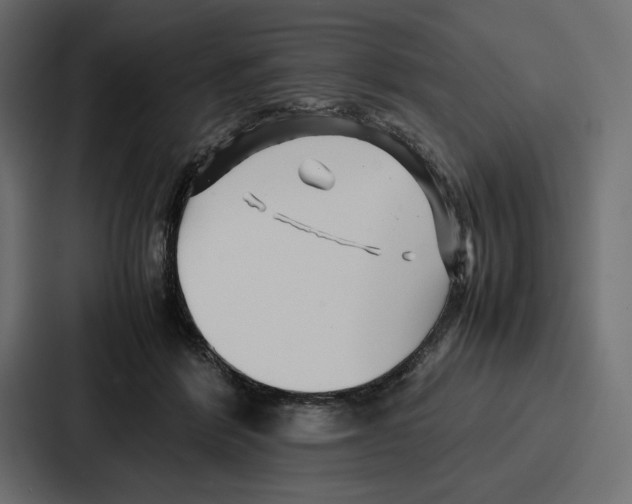 X0000086740412200705111639