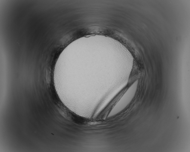 X0000086740413200705111639