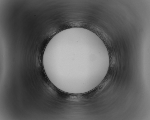 X0000086740414200705111639