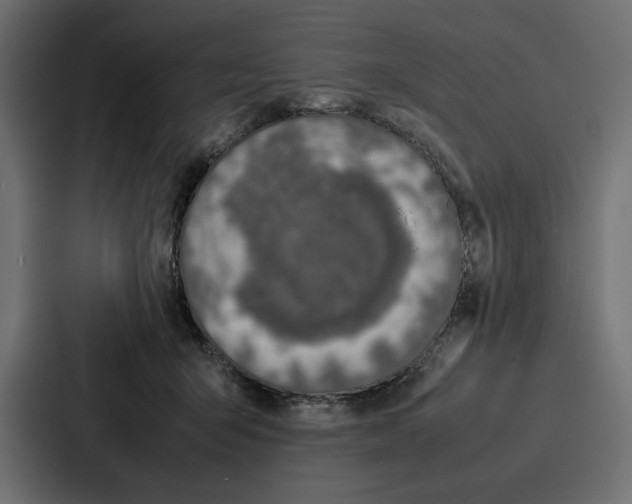 X0000086740415200705111639