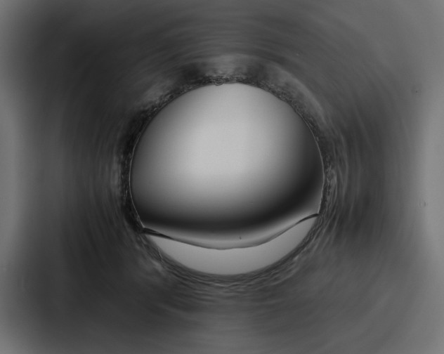 X0000086740416200705111639