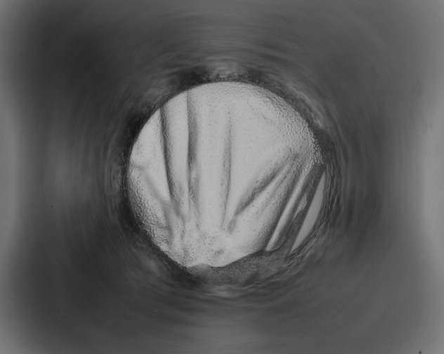 X0000086740417200705111639