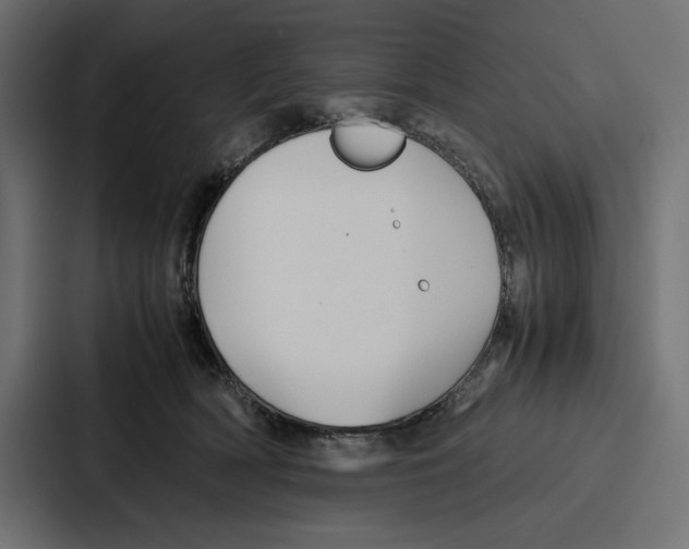 X0000086740418200705111639