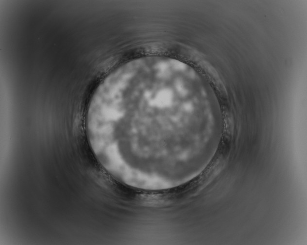 X0000086740419200705111639