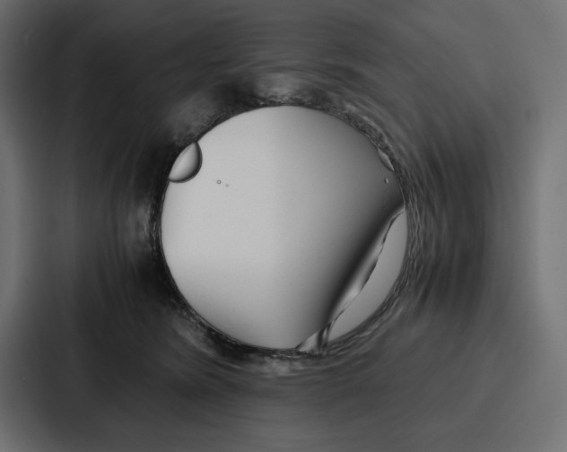 X0000086740420200705111639